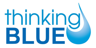 THINKING BLUE logo