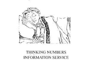 THINKING NUMBERS INFORMATION SERVICE logo