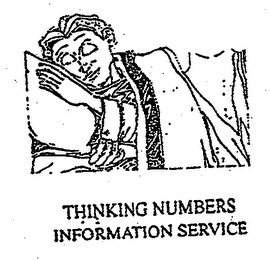 THINKING NUMBERS INFORMATION SERVICE logo