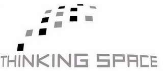 THINKING SPACE logo