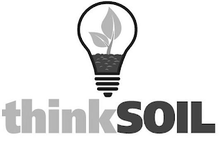 THINKSOIL logo