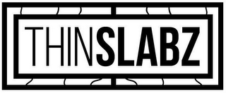 THINSLABZ logo