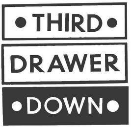THIRD DRAWER DOWN logo