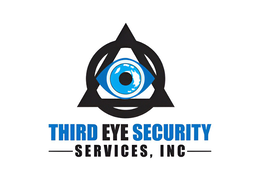 THIRD EYE SECURITY -SERVICES, INC- logo