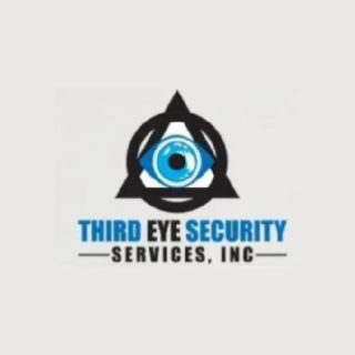 THIRD EYE SECURITY SERVICES, INC logo