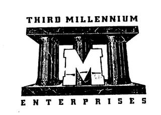 THIRD MILLENNIUM ENTERPRISES logo