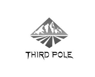 THIRD POLE logo