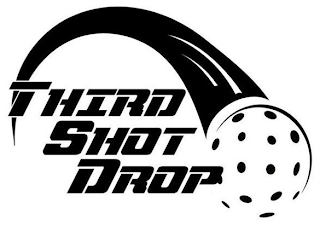 THIRD SHOT DROP logo