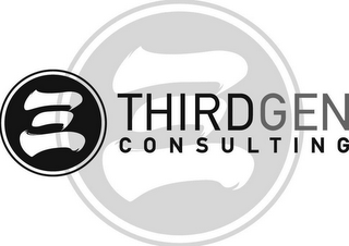 THIRDGEN CONSULTING logo