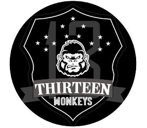 THIRTEEN MONKEYS 13 logo