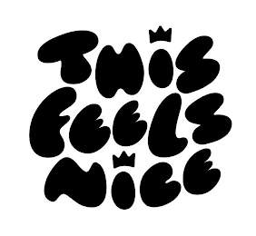 THIS FEELS NICE logo