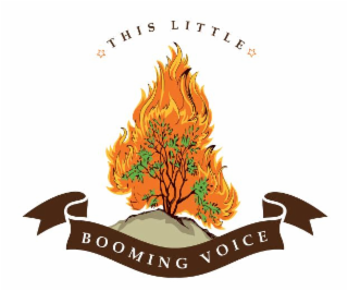 THIS LITTLE BOOMING VOICE logo