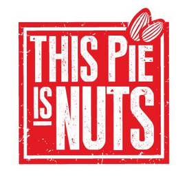 THIS PIE IS NUTS logo