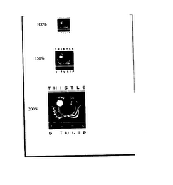 THISTLE AND TULIP FUND logo