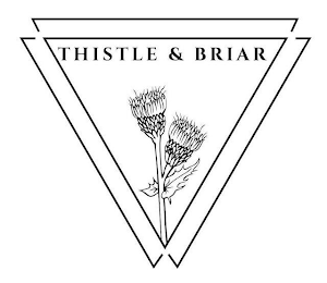 THISTLE & BRIAR logo