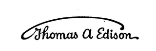 THOMAS A EDISON logo