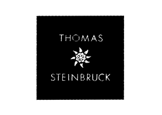 THOMAS STEINBRUCK logo