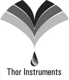 THOR INSTRUMENTS logo