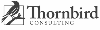 THORNBIRD CONSULTING logo