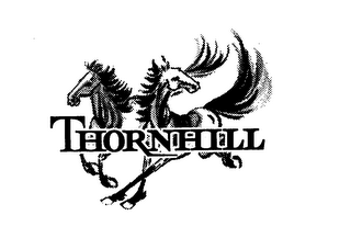 THORNHILL logo