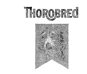 THOROBRED logo