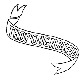 THOROUGHBRED logo