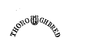 THOROUGHBRED logo