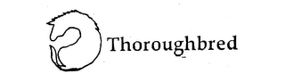THOROUGHBRED logo