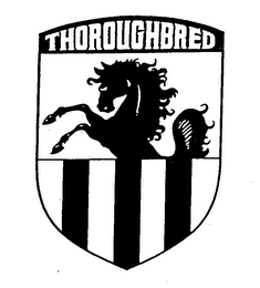 THOROUGHBRED logo