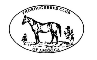 THOROUGHBRED CLUB OF AMERICA logo