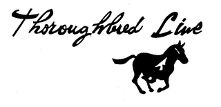 THOROUGHBRED LINE logo
