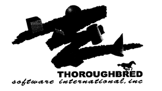 THOROUGHBRED SOFTWARE INTERNATIONAL.INC logo