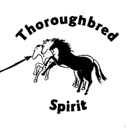 THOROUGHBRED SPIRIT logo