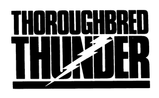 THOROUGHBRED THUNDER logo