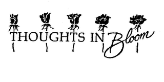 THOUGHTS IN BLOOM logo