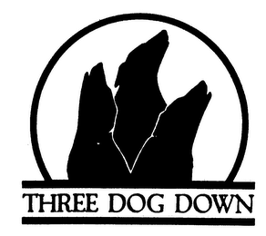 THREE DOG DOWN logo
