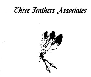 THREE FEATHERS ASSOCIATES logo