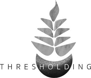 THRESHOLDING logo