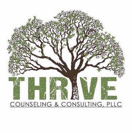 THRIVE COUNSELING & CONSULTING, PLLC logo