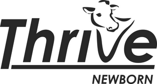 THRIVE NEWBORN logo