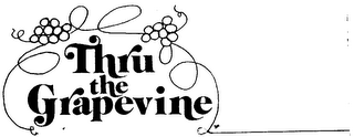 THRU THE GRAPEVINE logo