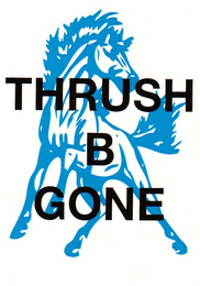 THRUSH B GONE logo