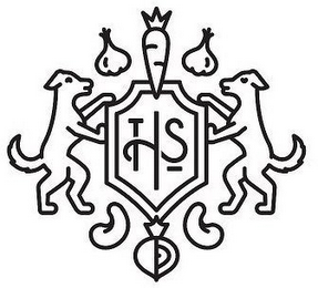 THS logo