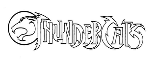 THUNDER CATS logo