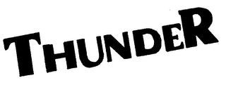 THUNDER DFG 300 logo