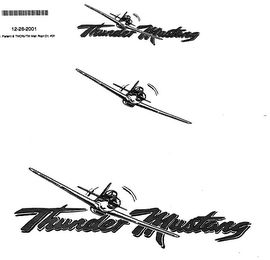 THUNDER MUSTANG logo