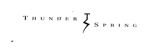 THUNDER SPRING logo