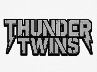 THUNDER TWINS logo
