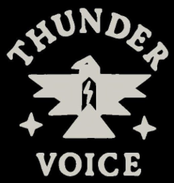 THUNDER VOICE logo