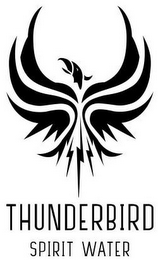 THUNDERBIRD SPIRIT WATER logo